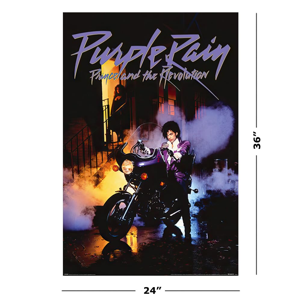 Amazon.com: Purple Rain - Music Movie Poster (Regular Style