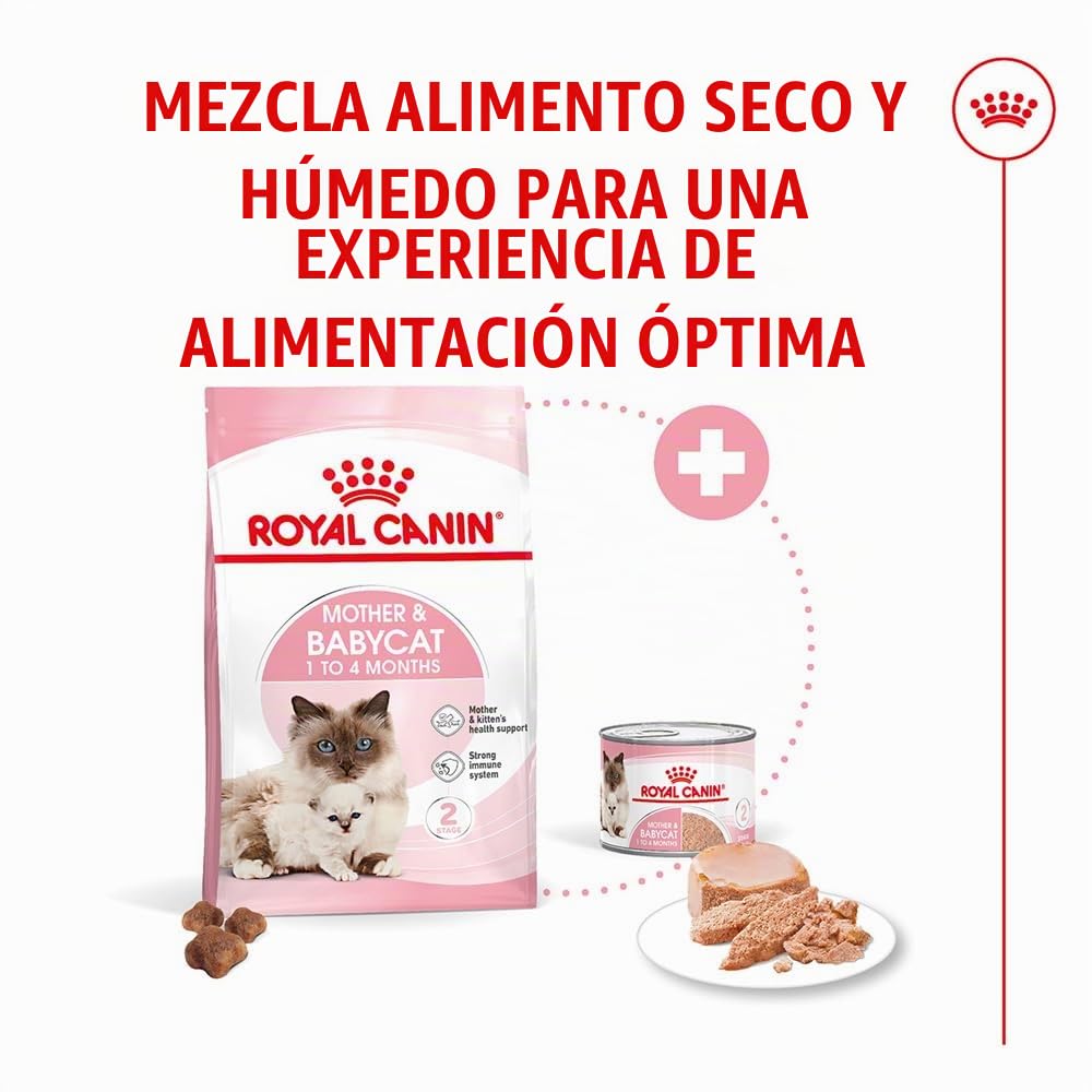 Royal Canin Mother & Babycat Mousse | 12 x 195 g | Alimento Completo para Gatos | Especialmente para la Gata Madre y Sus Gatitos | para apoyar Las defensas Naturales