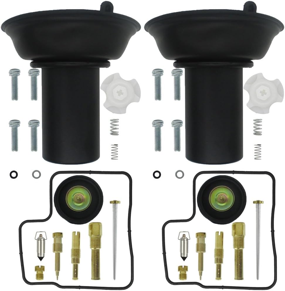 2-Pack Carburetor Repair Kit Rebuild Set Replacement for Honda Shadow ACE 750 VT750C 2000, Shadow VLX 600 1988-1998, VTX1300C 2008 2-Pack Carburetor Repair Kit Rebuild Set Replacement for Honda Shadow ACE 750 VT750C 2000, Shadow VLX 600 1988-1998, VTX1300C 2008