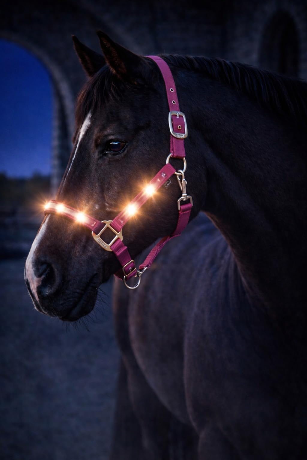 Premium Leuchthalfter Reflexhalfter Sicherheitshalfter Stallhalfter Weidehalfter LED-Nylonhalfter Starlight (Cob, pink/Silber)
