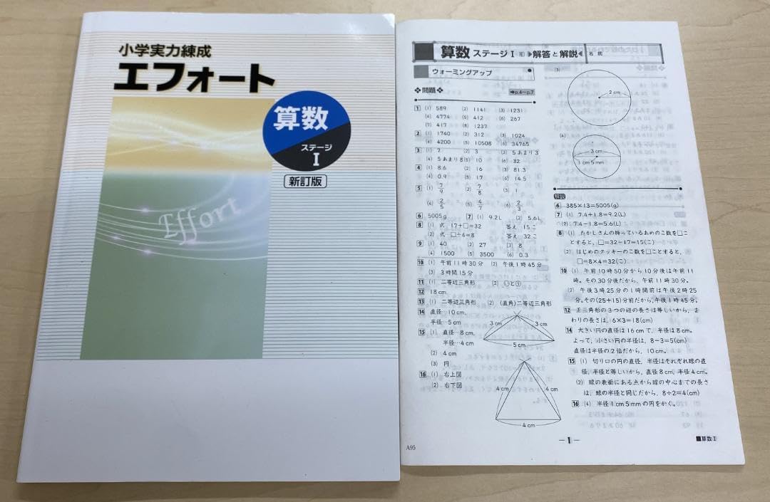 【中古】小学実力練成　エフォート　10冊セット 中古】小学実力練成 エフォート 10冊セット（塾専用 小学実力練