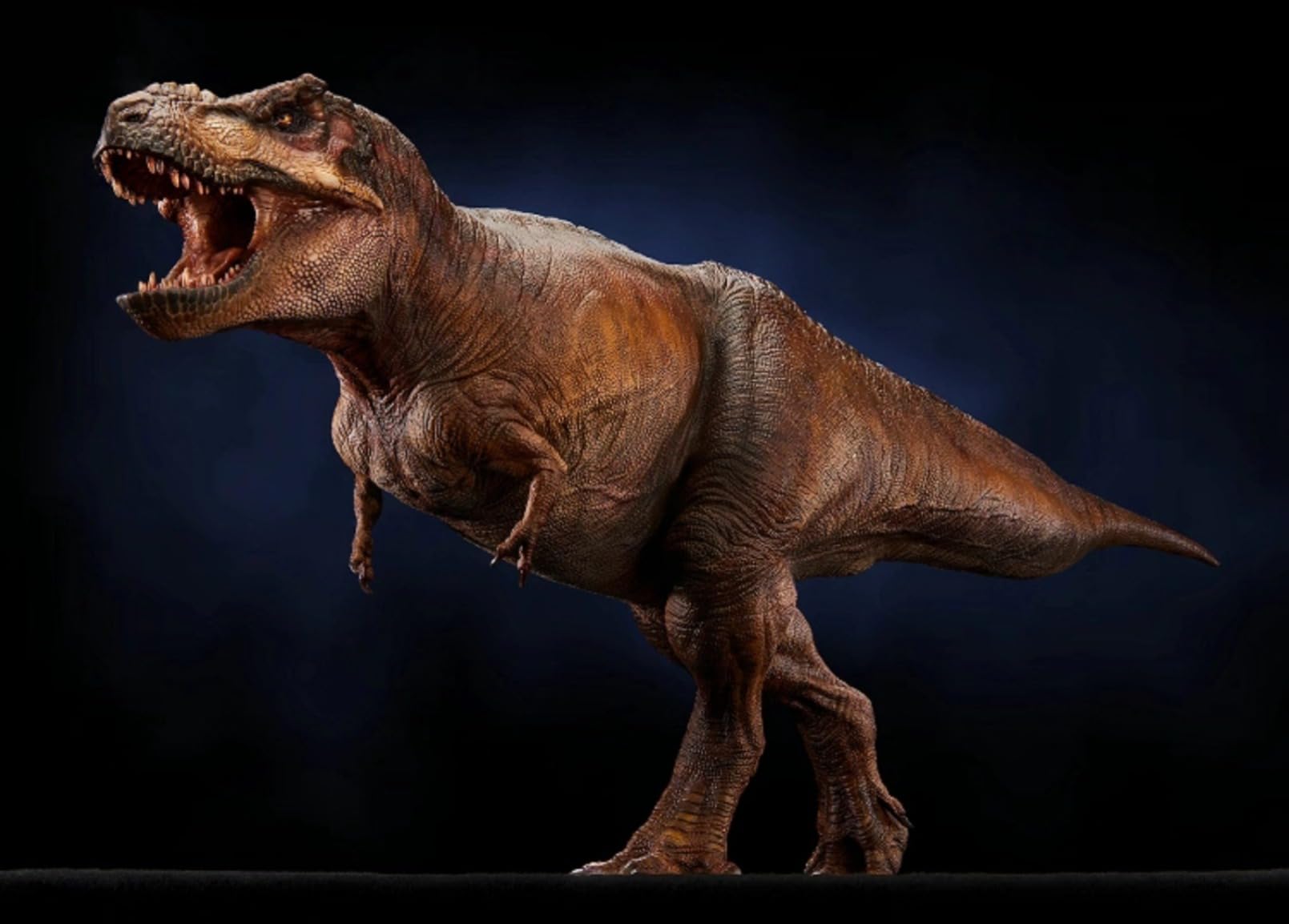 Model Dinozaura Tyranozaura, Kolekcja Muzealna, Dekoracja, Zwierzę, Owad, Rzeźba, Długi Smok, Biurko Biurowe