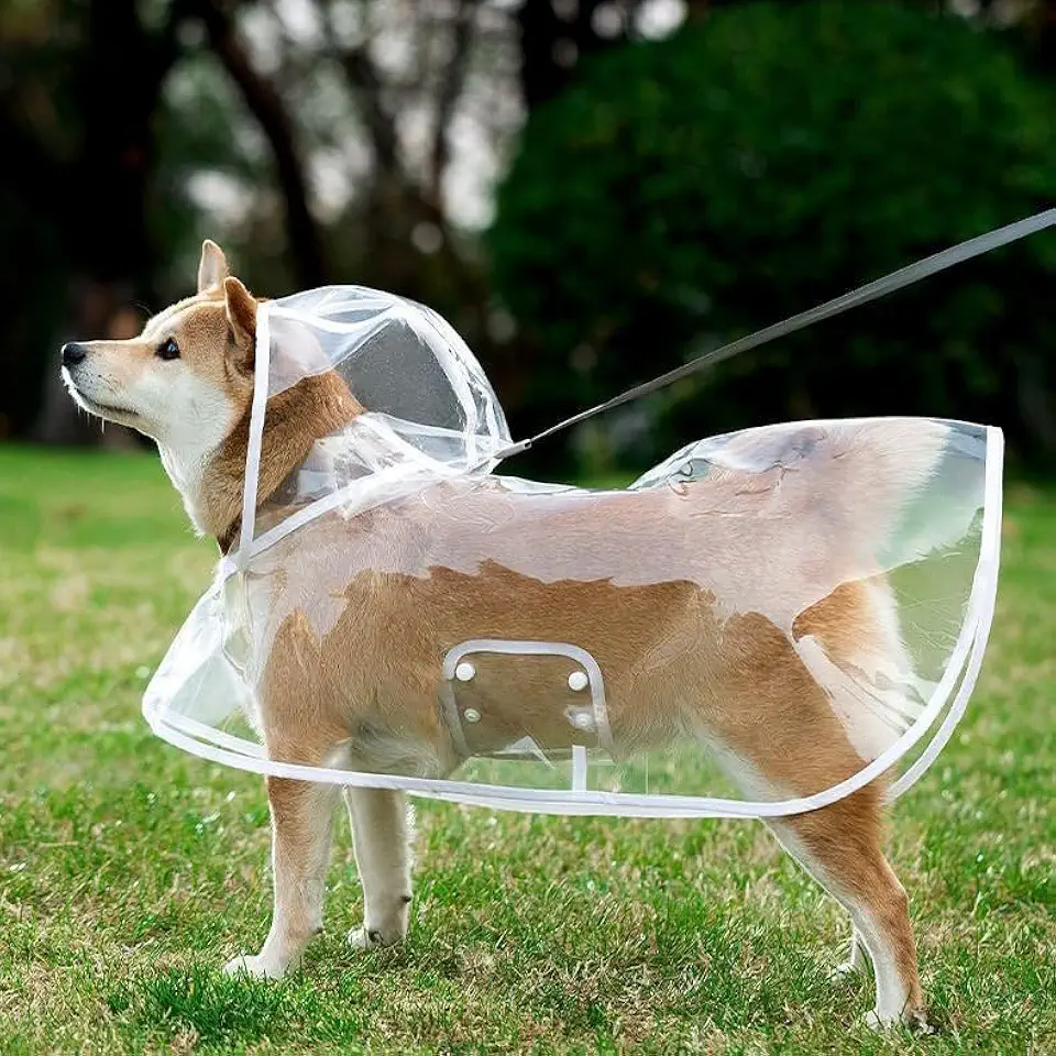 Capas de chuva para animais de estimação, capa de chuva transparente portátil para cães, capa de chuva para filhotes com capuz para uso ao ar livre (M)