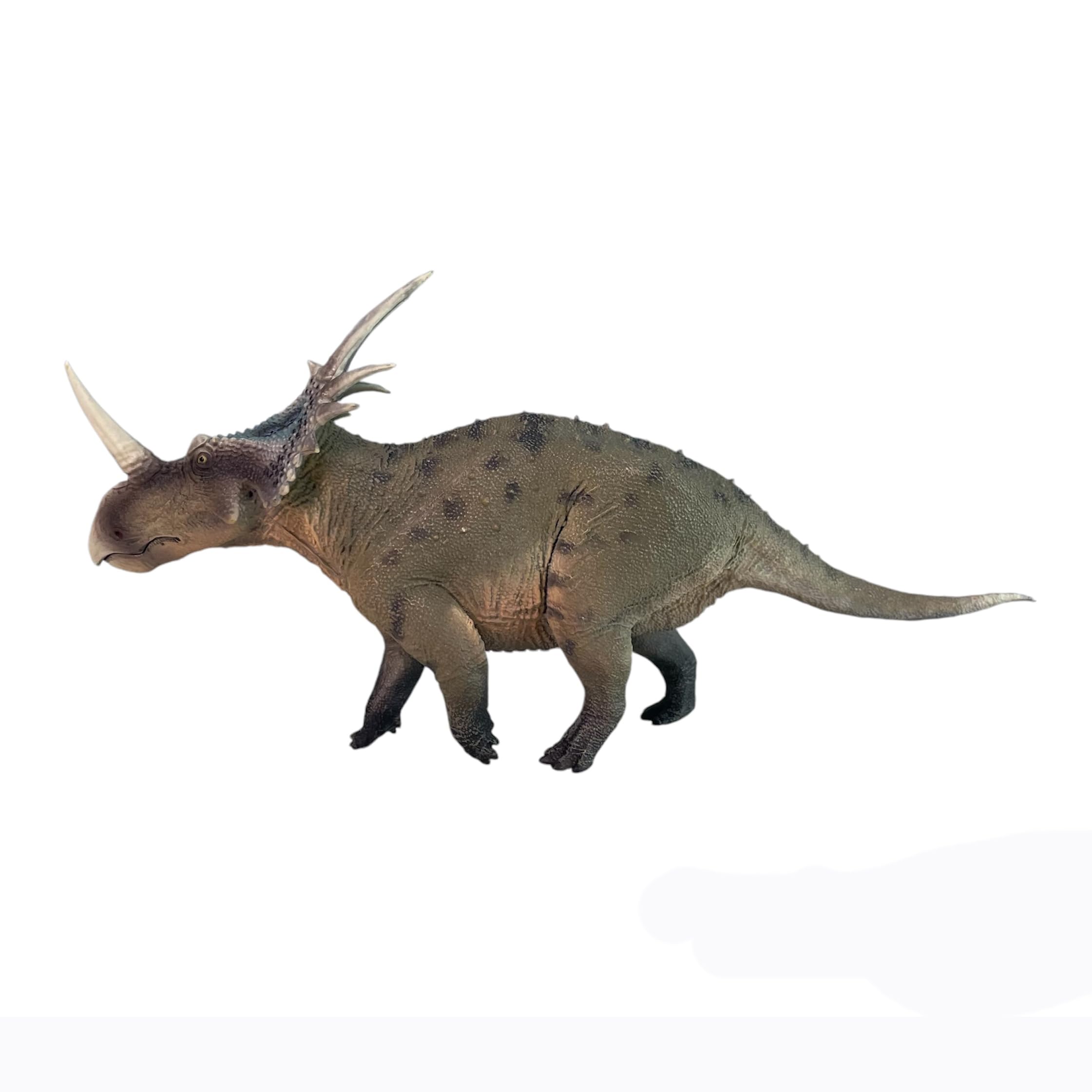 Amazon.com: HAOLONGGOOD New Styracosaurus 1：35 Science and Art