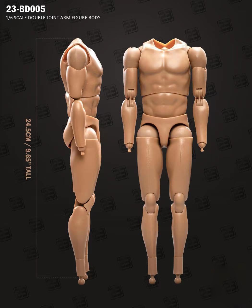 Amazon.com: Lmzauet 1/6 Scale Action Figures for Custom Muscular