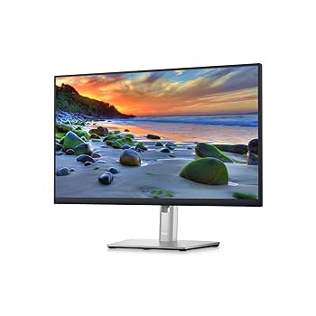 Dell P2421D - LED monitor - 23.8