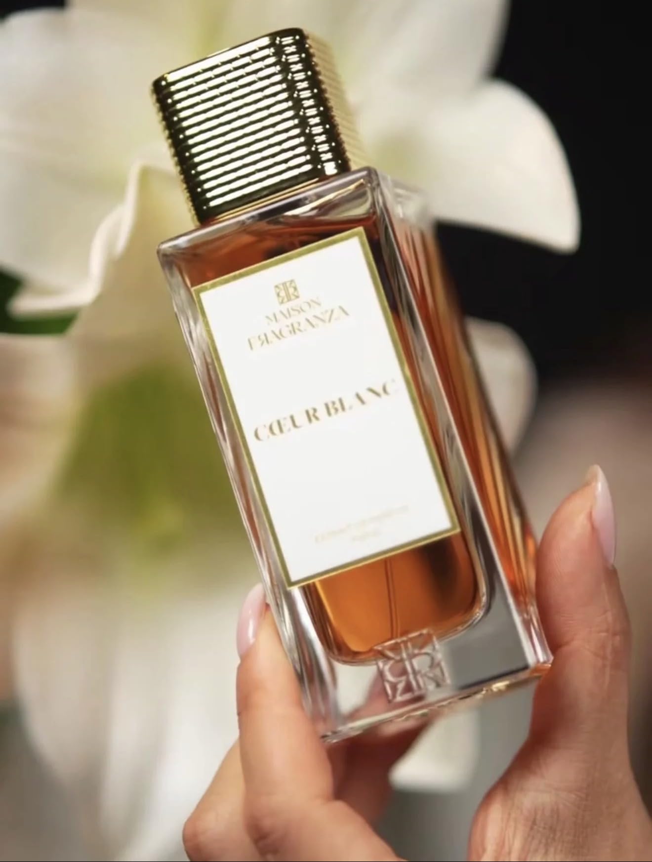 Parfum de Niche, Fragranza, Eau de Parfum Concentrée Mixte, Noix de Coco, Vanille, Cèdre & Musc Blanc, Longue Tenue, 100ml (Coeur Blanc)