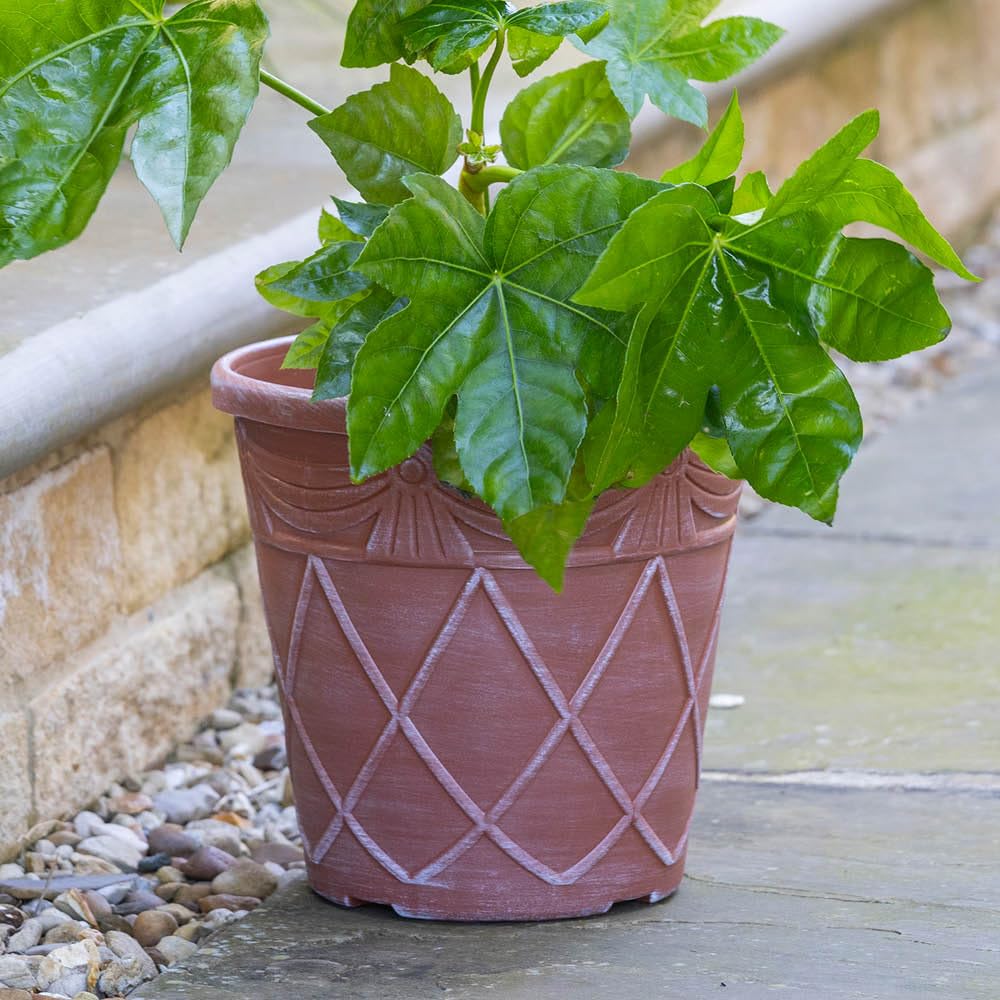 YouGarden Tuscany Roman 10" planter - big mesquite