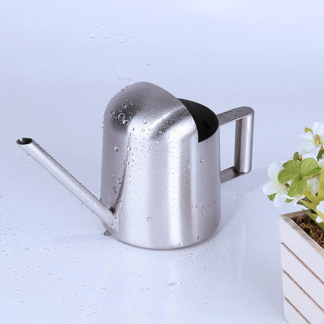 Gießkanne für den Außenbereich Gießkanne for draußen, Gießkanne for drinnen, Mini-Gießkanne, Mini-Gießkanne, Edelstahl, kleine Gießkanne mit langem Ausguss for Kinderzimmer, Bonsai, Zimmerpflanze, Bro