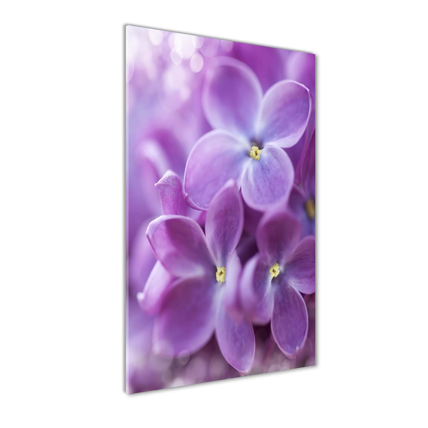 Décoration murale cuisine et salon tableau en verre fleurs lilas 120cm