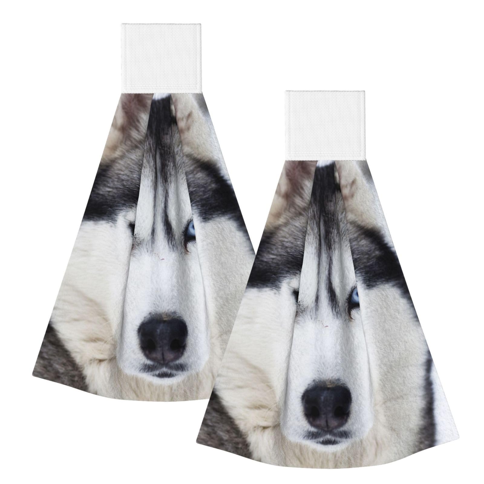 DOPKLNA Cute Husky, 2 Pcs Hanging Coral Fiber Hand Towels for Bathroom, Absorbent Kitchen Towels