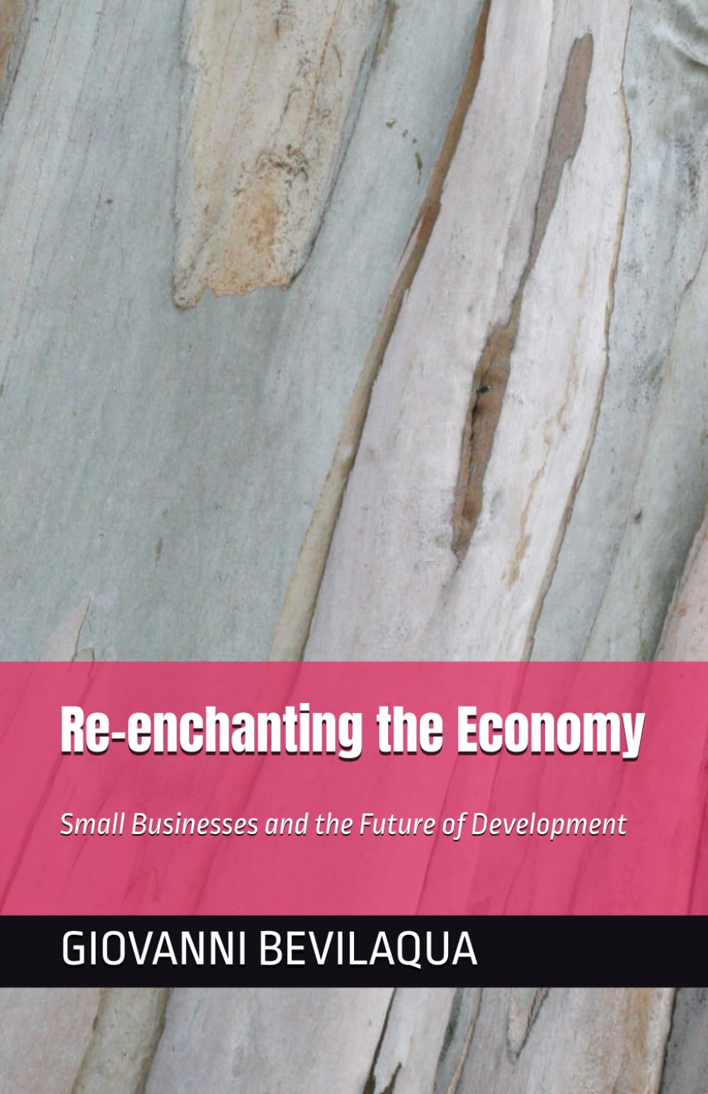 To Reenchant the Economy: Small Businesses and the Future of Development (Pequenos Negócios e Desenvolvimento Social e Econômico)