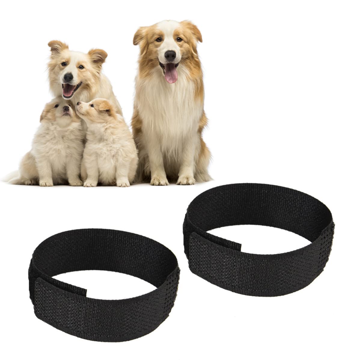 4 Stuks Pik Nekband Haan ​​nek Kraag Haan ​​nek Riem Kippenhalsband Kippen Nekband Kippen Halsband Geen Kraaienband Anti Pikspray Voor Kippen Haan ​​ kraag 2 Pak Anti-lawaai Plastic