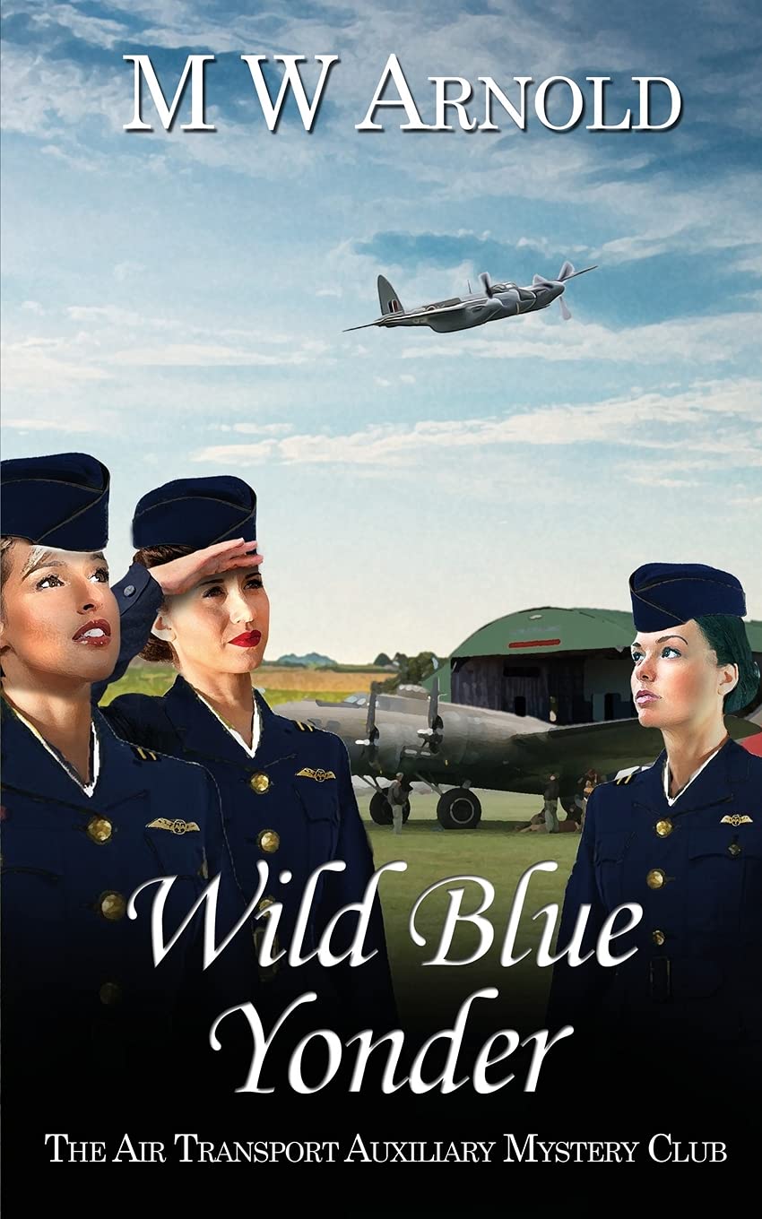 Wild Blue Yonder: 2 (Broken Wings)
