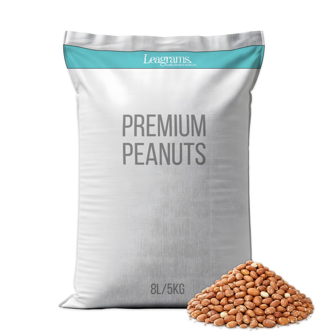 Leagrams Premium Peanuts Wild Bird Food Refill, 8L Easy-Pour Bag – High Energy Feed for Garden Birds