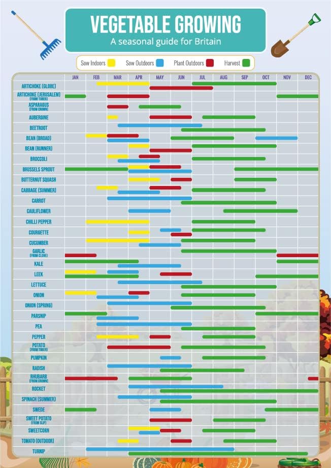 Gardening Fruit & Vegetable Growing Planner Poster – A3 Size ...