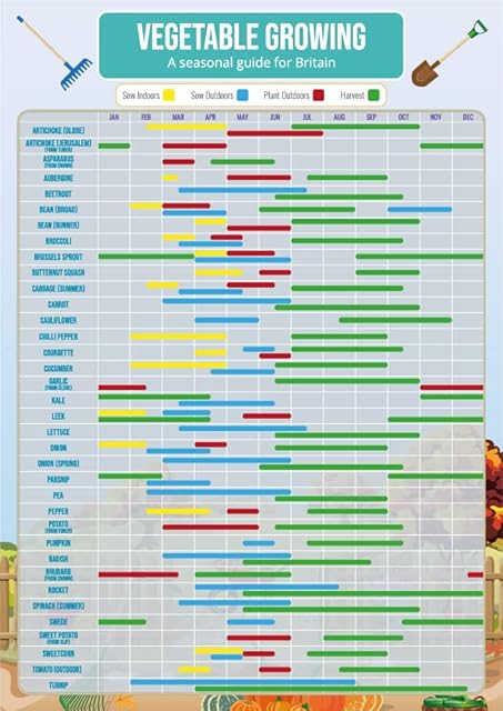 Gardening Vegetable Growing Planner Poster - A3 Size & Laminated - Calendar Planner Gantt Chart for Crops, Fruit, Veg, Allotment