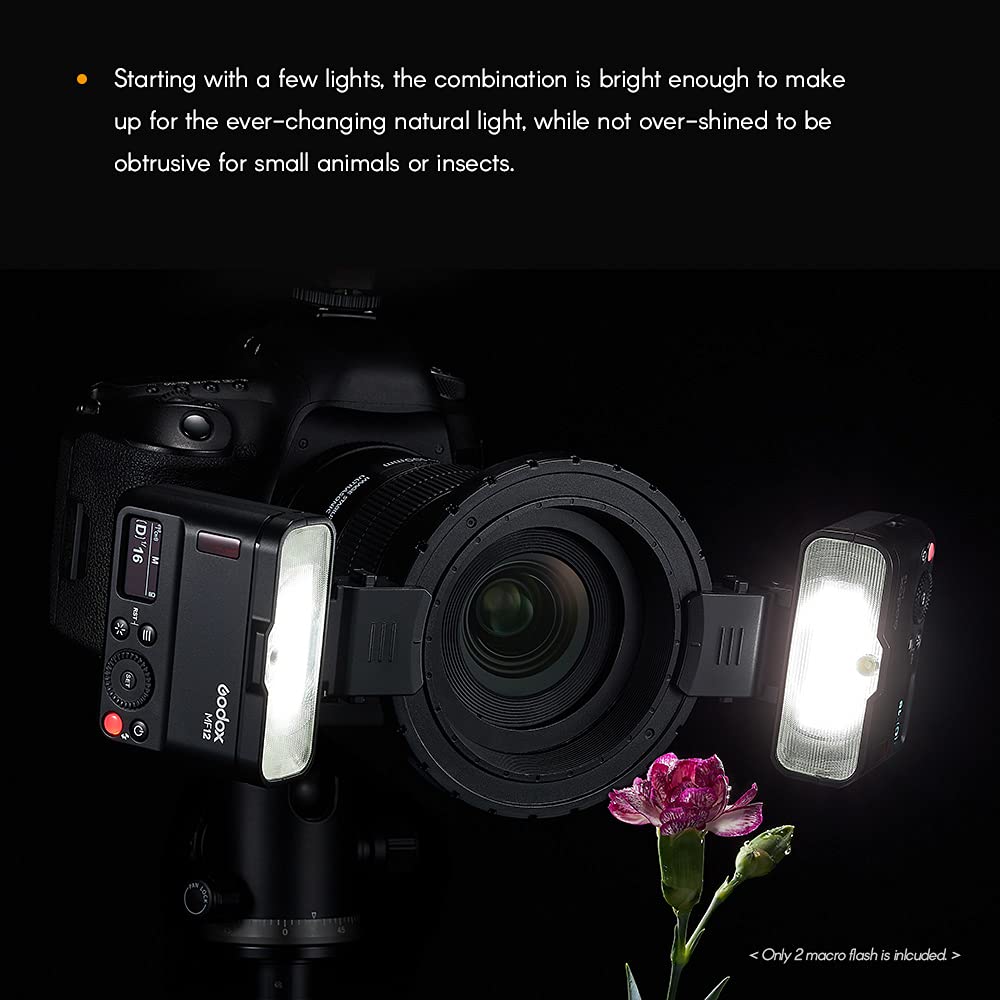 Godox MF12-K2 2PCS Macro Flash+MF-DB Support Flash Flexible Mode TTL M sans fil 2,4 G avec Filtre Couleur, Sabot Froid, Support Flash pour Portrait Compatible avec Les Appareils Photo Nikon/Sony/Canon
