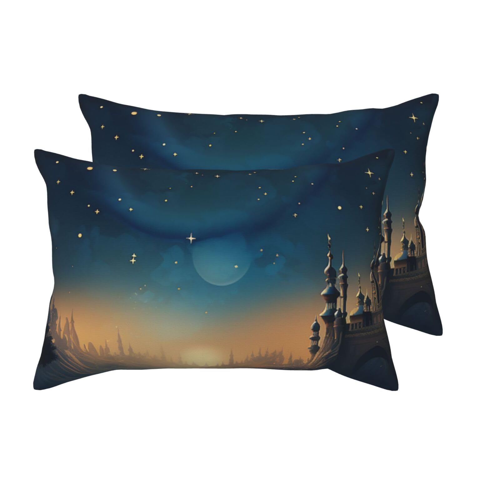 Taies d'oreiller pour cheveux et peau lot de 2 grand lit 50x75 cm super douces