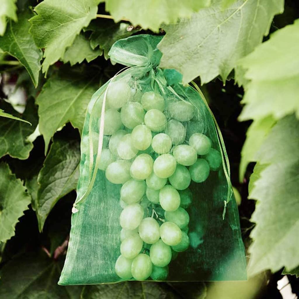 Bolsas de Malla para Frutas, Bolsas de Cultivo for Verduras y Frutas (50 Unidades), for Plantas, Uvas, protección, Red con cordón, Malla de Maquillaje.(100pcs 10 X 12cm)