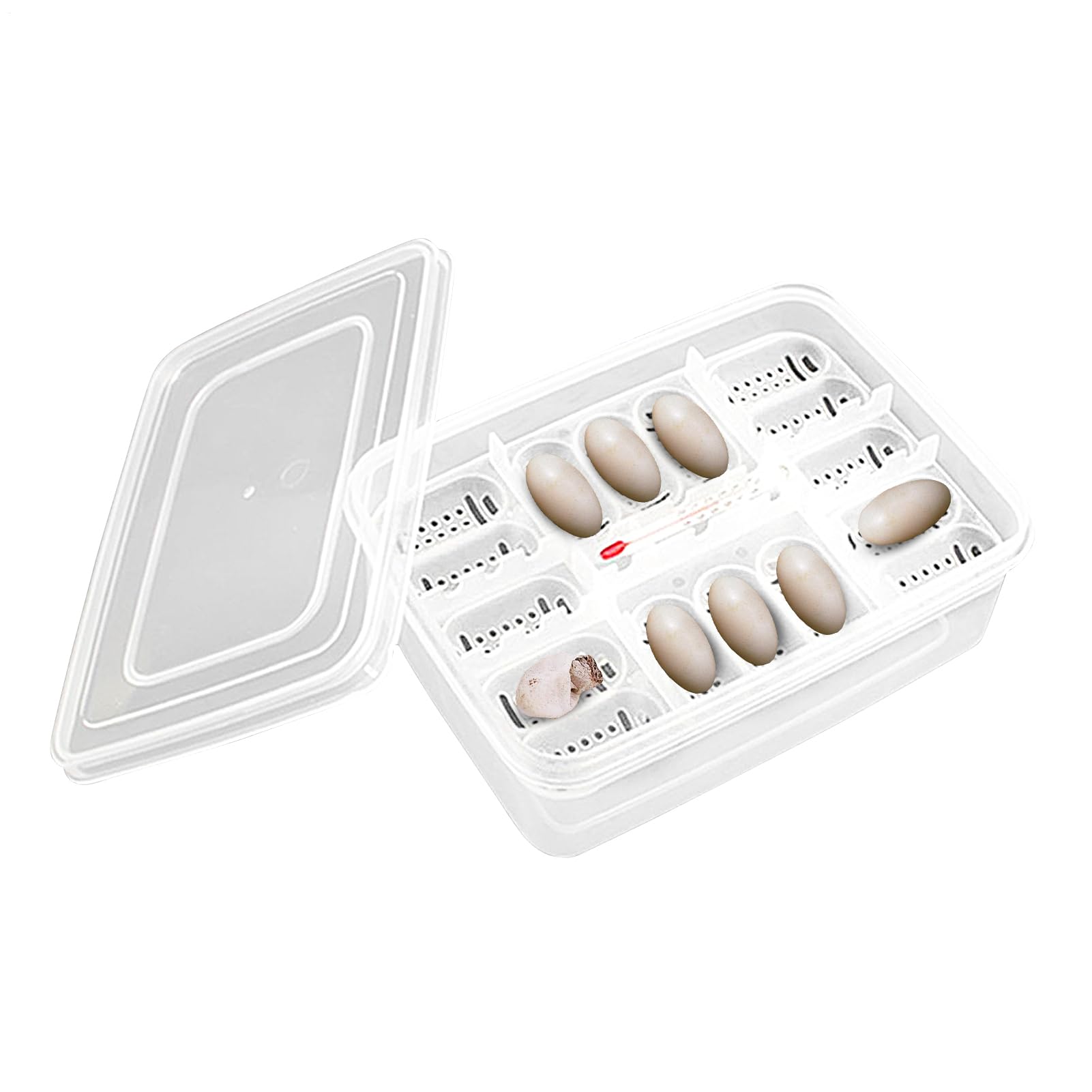 Reptile Egg Incubator Box Incubation Box Hatching Case Hatching Tray