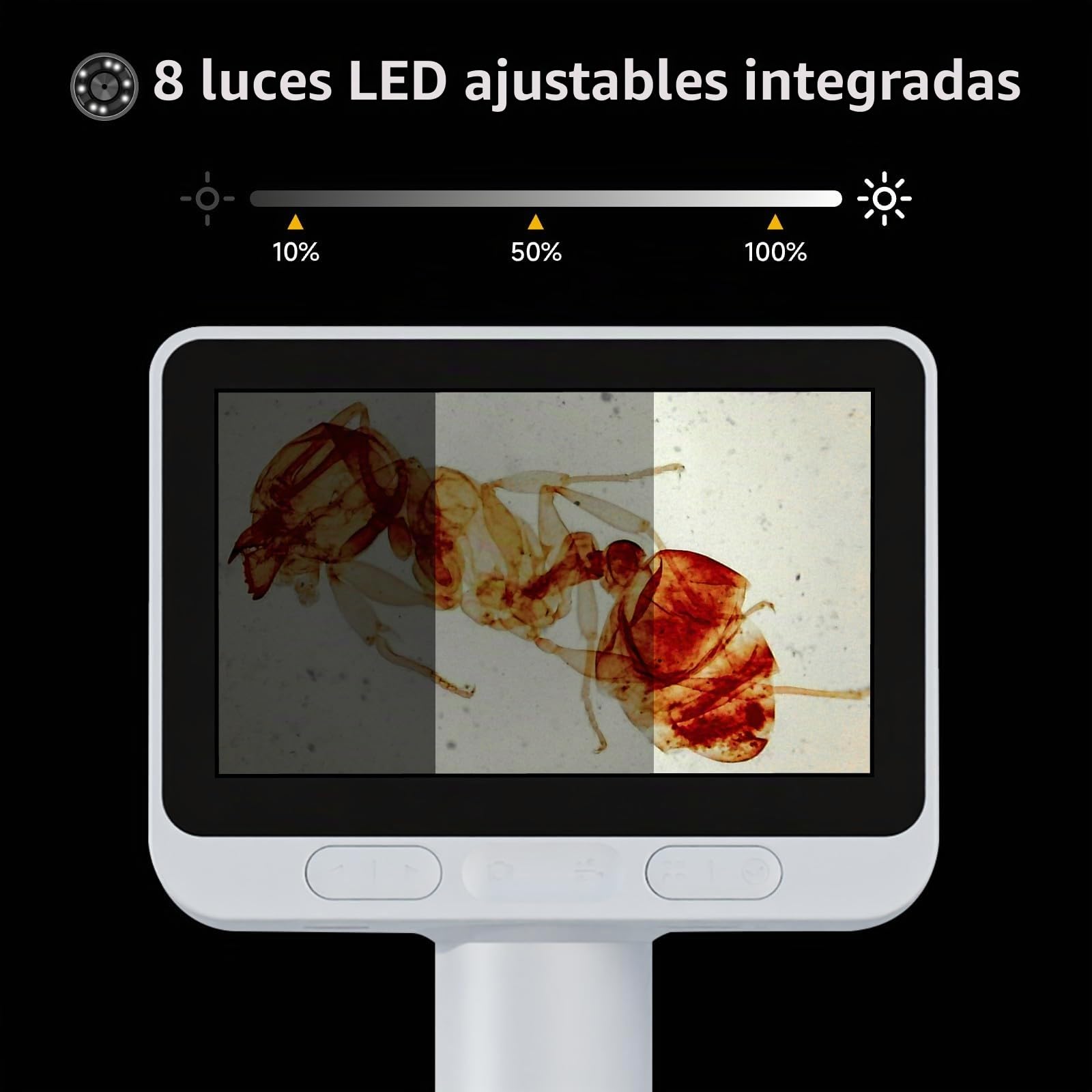 BEAVERLAB Microscopio digital con pantalla IPS de 4 pulgadas, aumento de 1600X, video HD 1080P, 8 luces LED ajustables, compatible con PC, tableta, smartphone, laptop