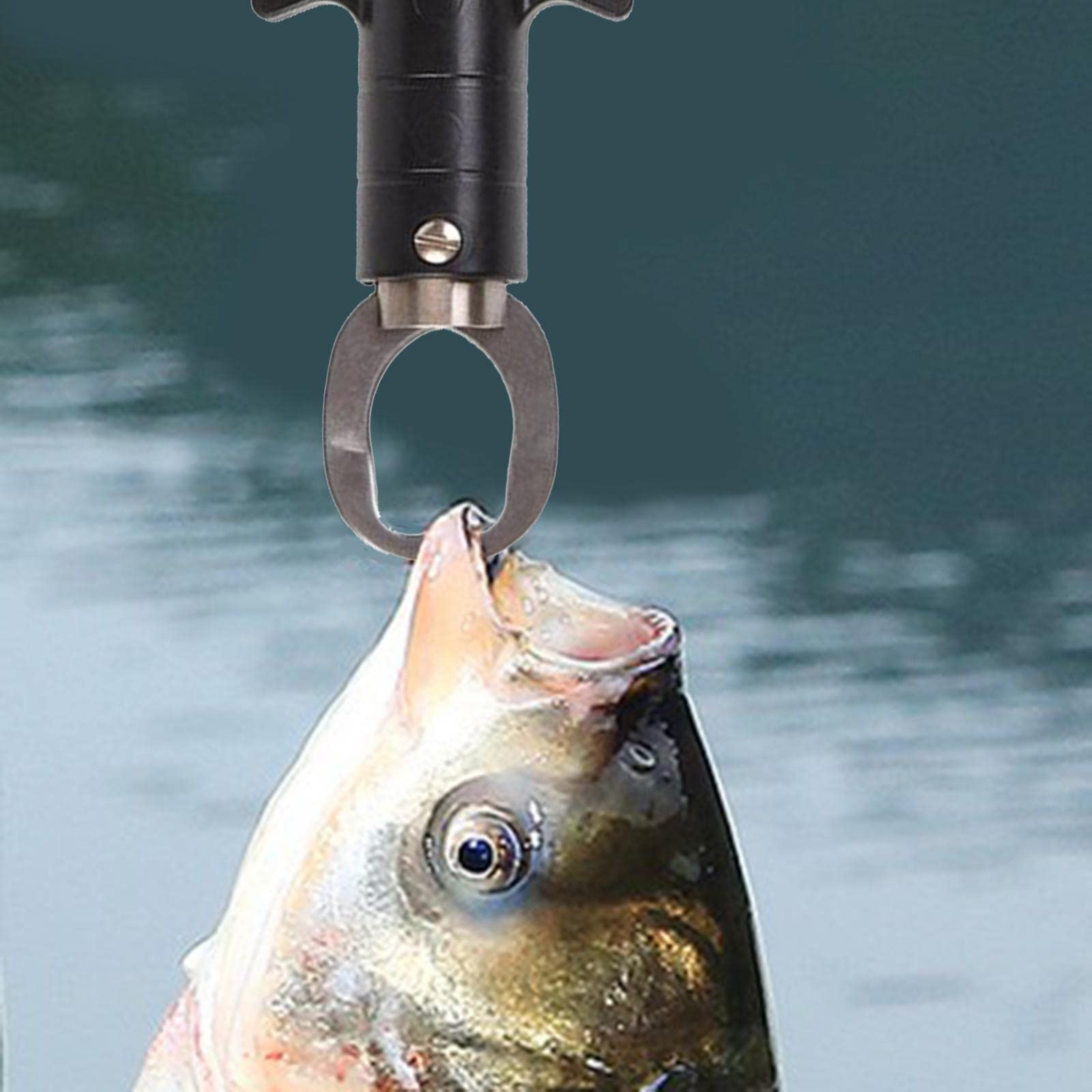 Fischlippengreifer mit Digitaler Skala Fischlippenklemme Angelgerät Zubehör