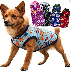 Kit Roupa para Cachorro Roupinha Pet de Frio Conforto Cães de Pequeno Médio Grande Porte (Femea, 00)