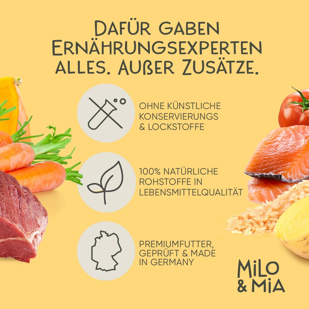 Hundefutter nass mit Lachs & Kartoffel, getreidefrei, 24 x 400 g