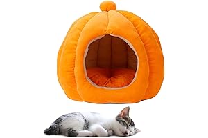Cute and Cozy Pumpkin Cat Bed for Indoor Kitties