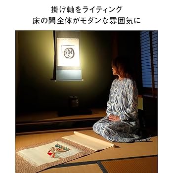 Amazon.co.jp: 「読書灯から間接照明まで、自由に使える