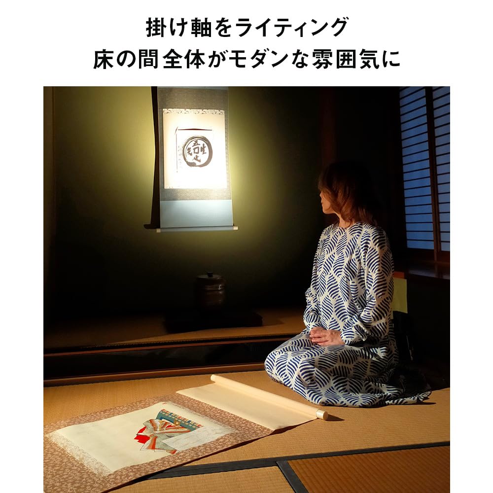 Amazon.co.jp: SALIOT Pico (STAND-M 1 Light, Black Body) 