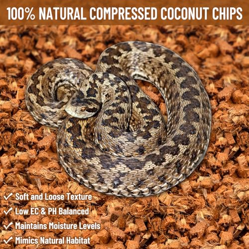 Riare Natural Coconut Chip Substrate for Reptiles- Compressed Coconut Husk Reptiles Bedding, Coco Husk Chip Terrarium Substrate for Snakes, Tortoises, Ball Python, Frogs, Bearded Dragon, Lizard - Image 6