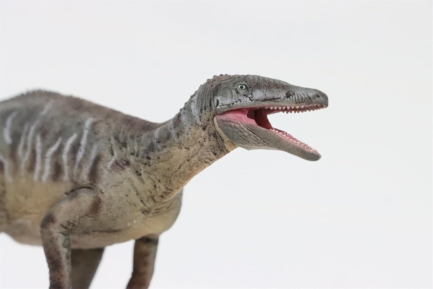 HLG Studio 1:35 Scale Megaraptor Model PVC Dinosaurs Figure Collection Realistic Decoration Gift for Adult (Green)