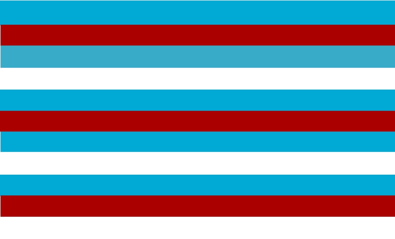 Drapeau bleu blanc rouge grand format pour supporter et décorer
