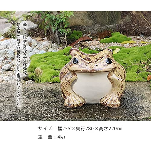 Amazon.co.jp: 信楽焼 12号蛙【ka-0006】 カエル 陶器蛙 やきもの 陶器
