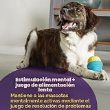 Ver la foto 2