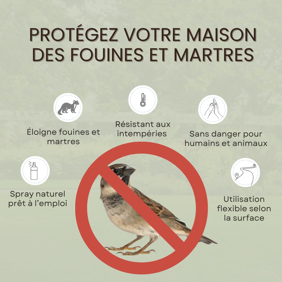 Répulsif Fouines et Martres, Spray 500 ml, Protection Naturelle à la Menthe Poivrée et Lavande, pour Intérieur et Extérieur
