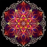 LOS TALADROS CUBREN TODA LA LONA: las cuentas cubren toda la imagen y hacen que la imagen sea más brillante.Si tienes suficiente tiempo, paciencia y un proyecto desafiante, ¡esto es totalmente para ti!