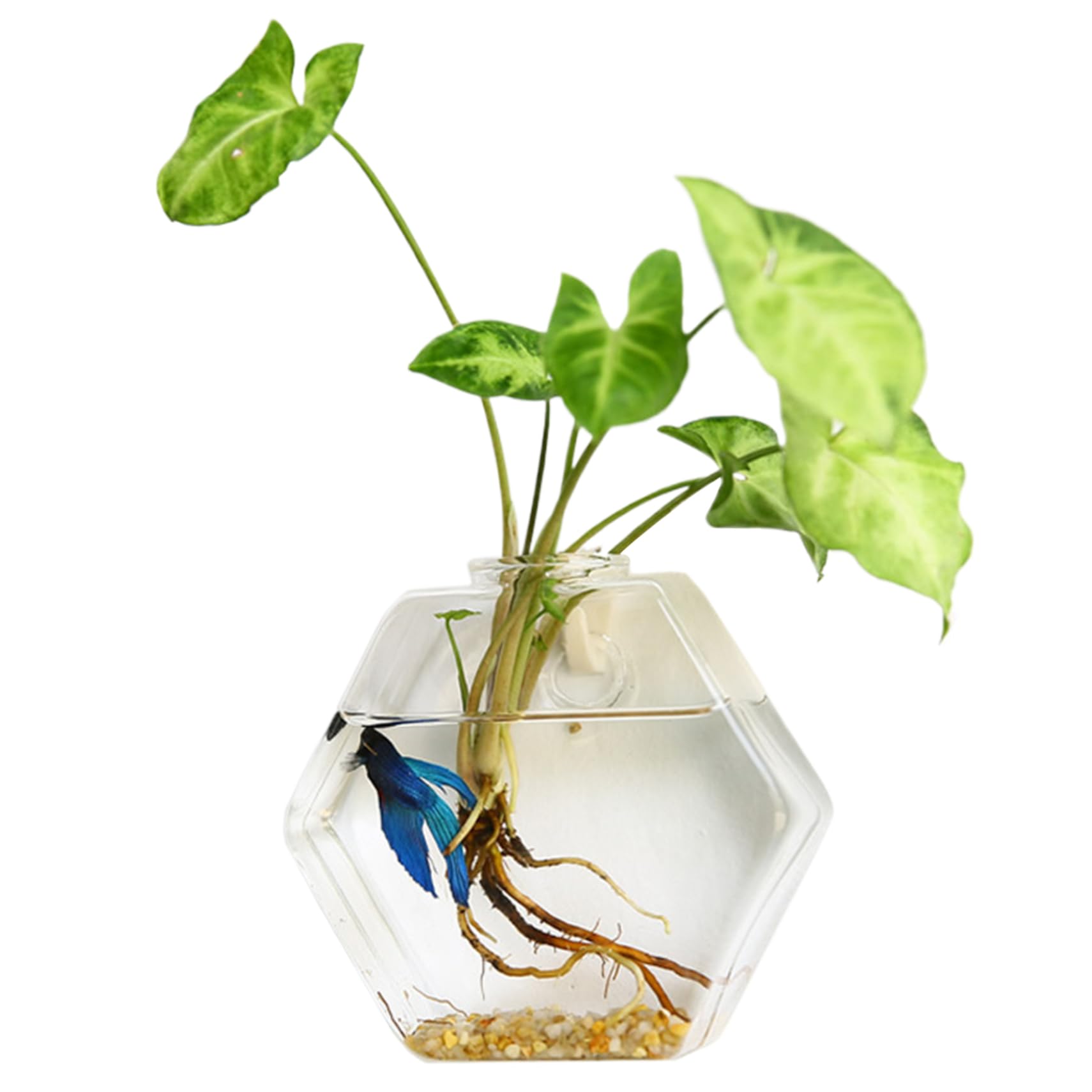 Jardinière murale hydroponique pour apporter une touche de nature au bureau