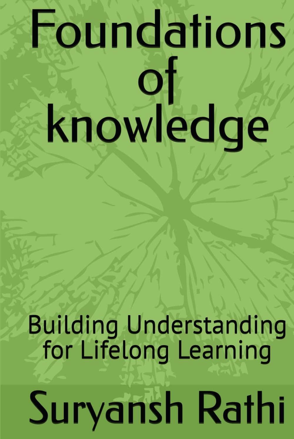 Foundations of knowledge: Building Understanding for Lifelong Learning