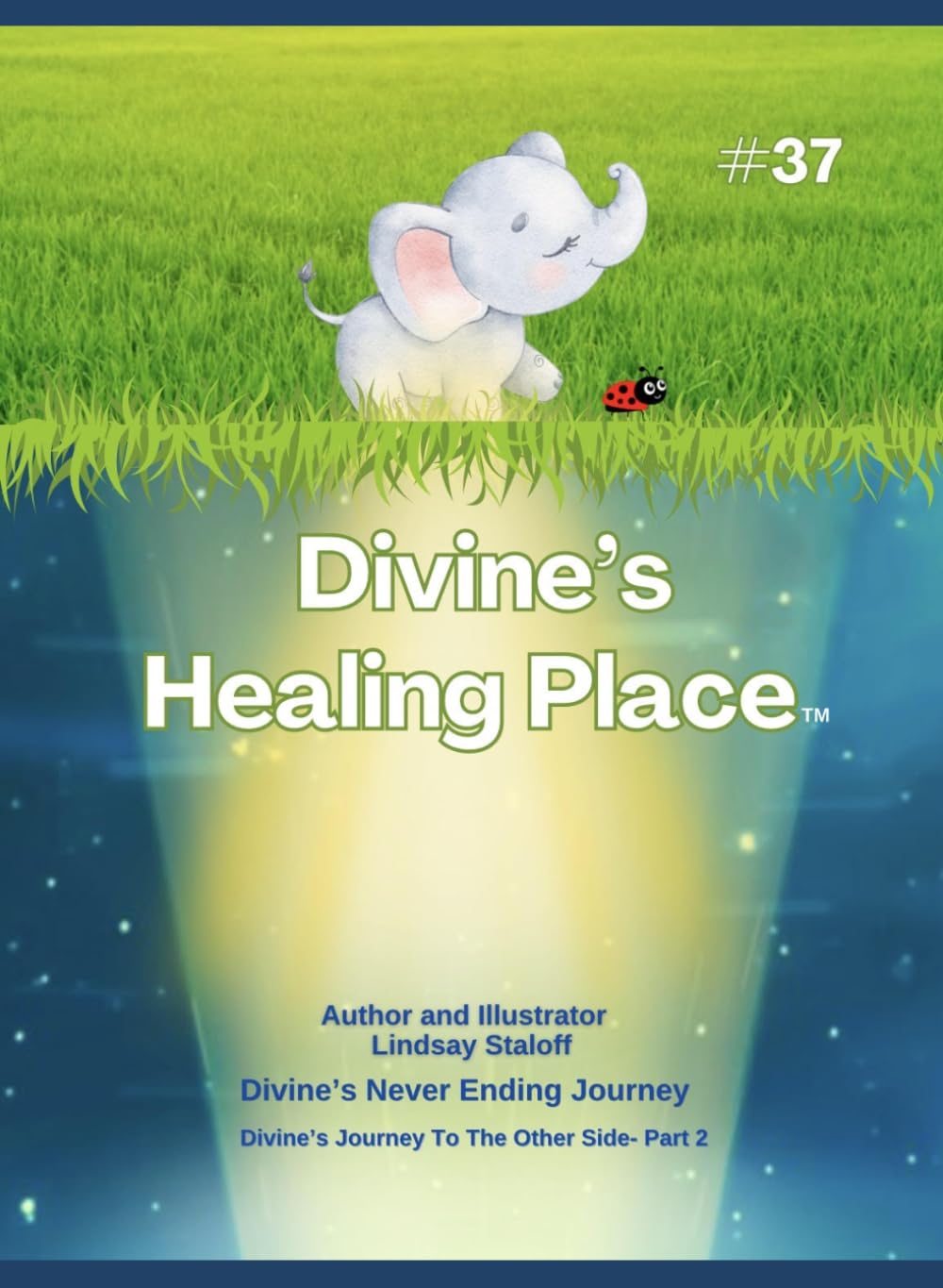 Divine's Healing Place (Divine’s Never Ending Journey)