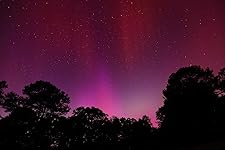 Review Image by Karley Nugent Karley Nugent