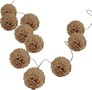 Pack of 10 Tissue Paper Flower Ball Pom pom Party Decoration Indoor Outdoor 6