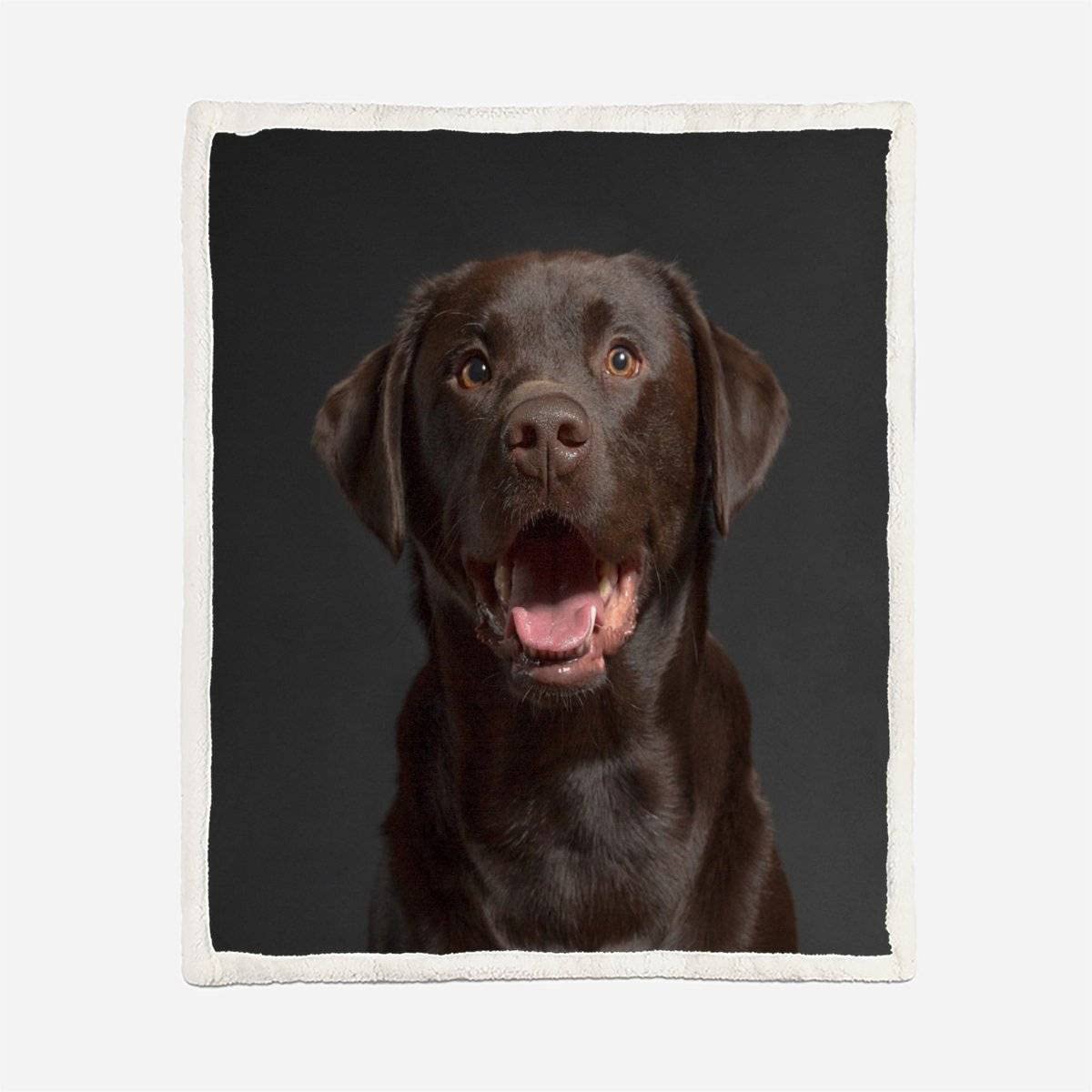 Plaid Couverture Polaire Labrador Retriever 3D Chien De Compagnie Douce Chaude Microfibre ete Hiver Couverture en Flanelle 150x200 pour Jeté de Canapé, Dessus de lit pour Enfant Fille Garcon