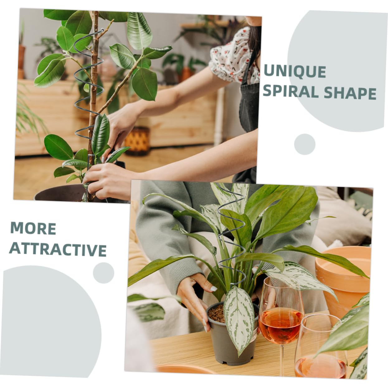 Abaodam 3 Sätze Pflanzenstützpfähle Spiral Hohe Stützstäbe Für Tomaten Kletterpflanzen Und Blumen Wetterfest Und Dekorativ Für Garten Und Balkon Einfache Installation Und 5 Stücke * 3