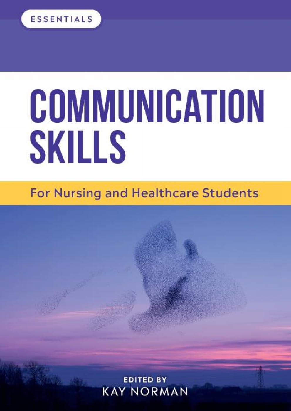 Communication Skills: For Nursing and Healthcare Students (Essentials)