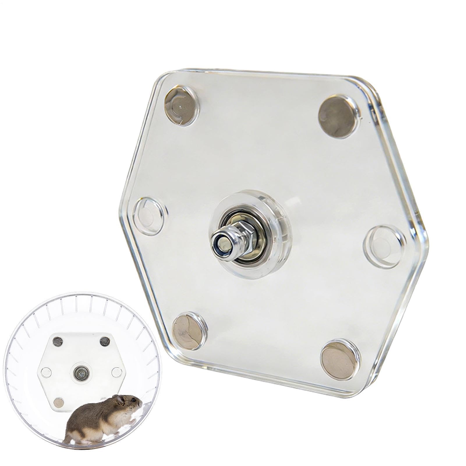 Ruota magnetica per esercizi per criceti, senza punta, per piccoli animali domestici, ideale per furetti, scoiattoli, cincillà, ricci e draghi barbuti, accessorio per gabbia stabile