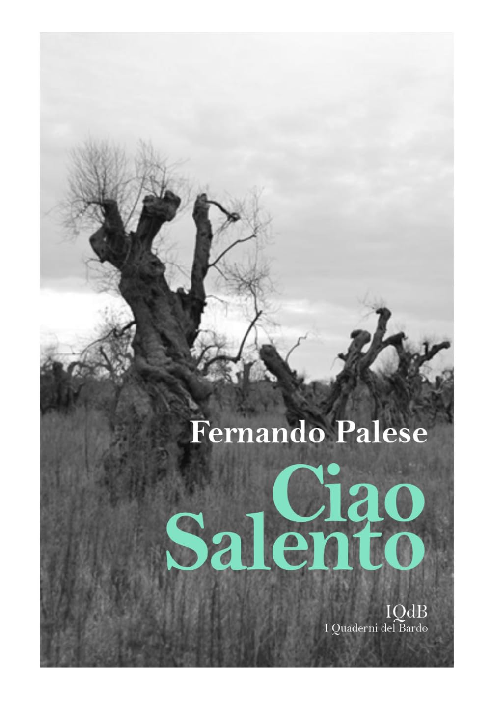 CIAO SALENTO (Scritture e Visioni a cura di Stefano Donno per iQdB edizioni)