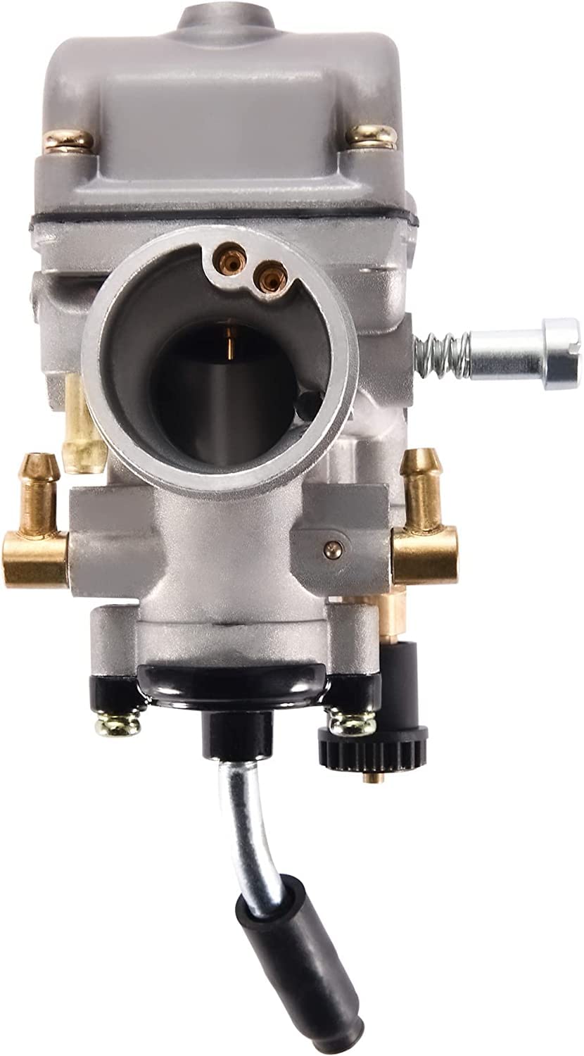 Carburatore da 19 mm per 2 tempi 50cc RS50 RX50 MX50 PGT Dirt Pit Bike Quad Motor Ciclomotore Motocross